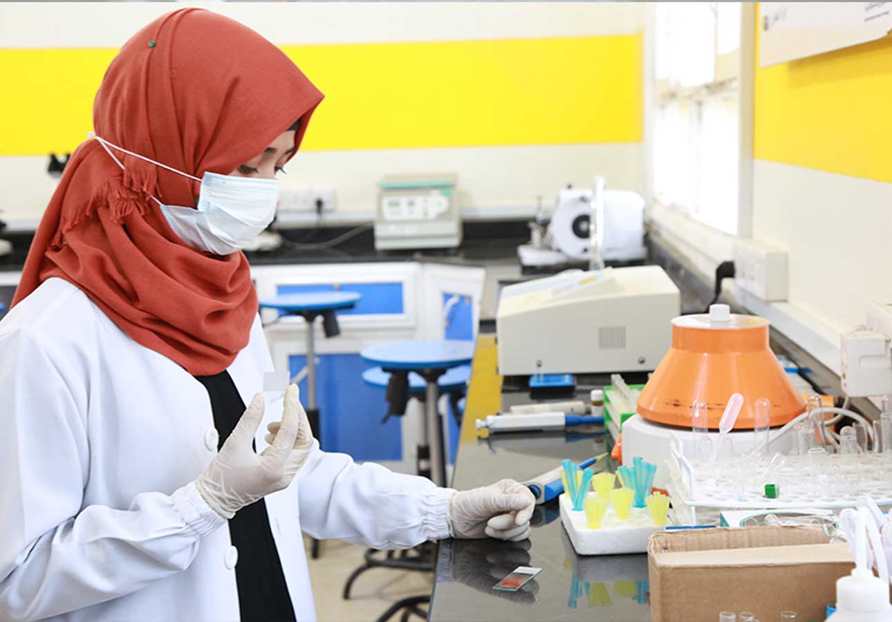 program-pharmd